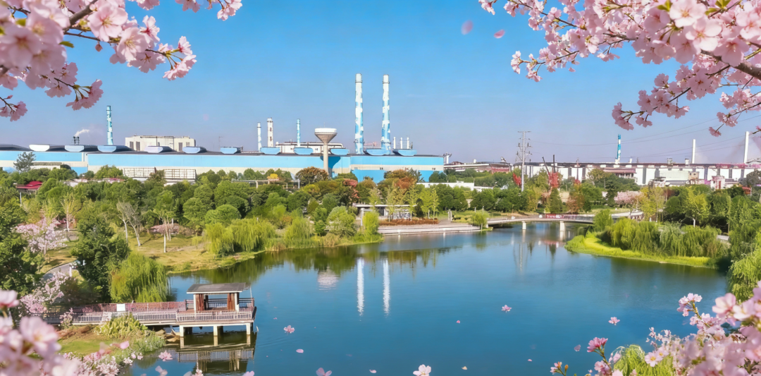 CA88(中国)欢迎您